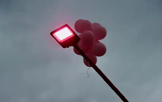 Bursa'da Pembe Lambalar Projesi