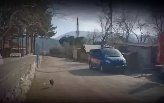 Yaşlı kadını önce öldürüp sonra ateşe vermişti! Mahkemedeki sözlerine hakim dahi dayanamadı