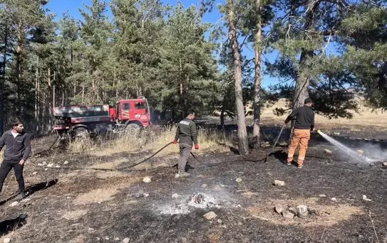 Sarıkamış'ta Orman Yangını: 1 Hektar Zarar