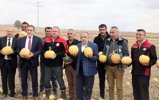 Başkan Yalçın Kabak Hasadında