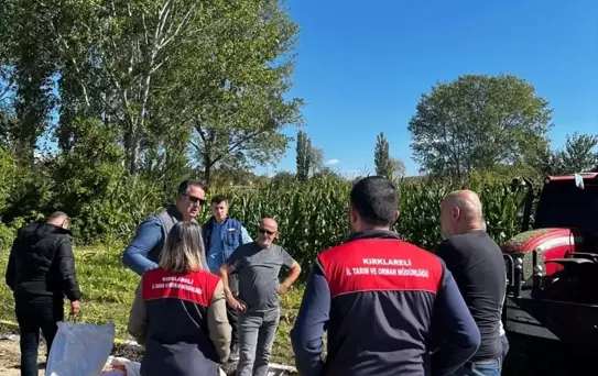 Vize'de Mısır Hasadı Kontrolü