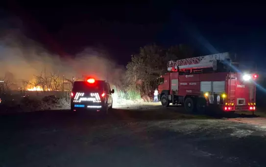 Serik'te Karayolu Kenarında Yangın, Sürücülere Zor Anlar Yaşattı