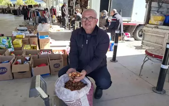 Elma Kurusu Fiyatları Yükseldi