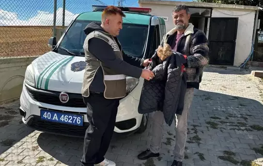 Yaralı Kızıl Şahin Tedavi Altında