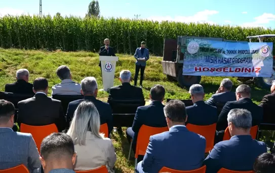 Battalgazi'de Mısır Hasadı Yapıldı