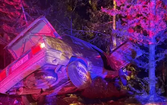 Osmaniye'de ağaca çarpan otomobildeki 3 kişi yaralandı