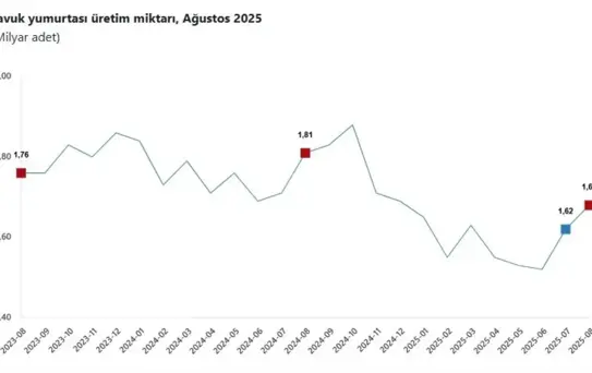 TÜİK: Ağustos'ta Tavuk Eti Azaldı, Süt ve Yumurta Üretimi Arttı