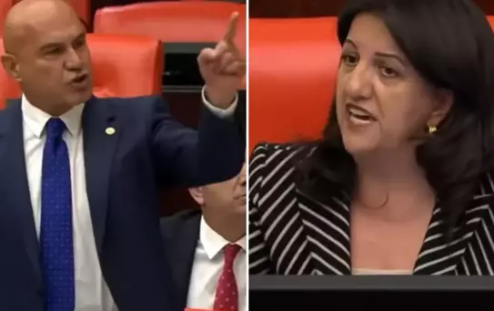 Turhan Çömez'in Öcalan için söyledikleri Pervin Buldan'ı küplere bindirdi