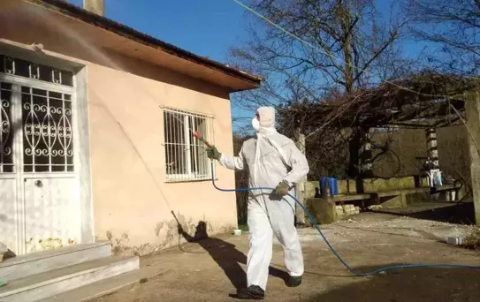 Düzce'de Fındık İçin Kokarca Mücadelesi