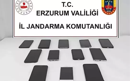 Sahte İlanlarla Dolandırıcılara Operasyon