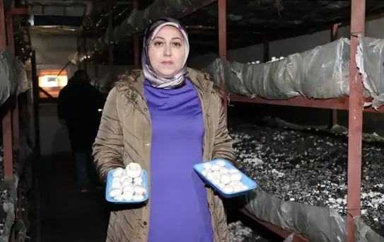 Kadın Girişimci Mantar Üretiyor