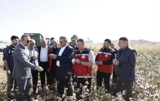 Bismil'de Pamuk Hasadı Başladı