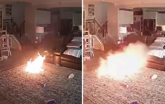 Lityum pili ısıran köpek evde büyük bir yangının çıkmasına sebep oldu
