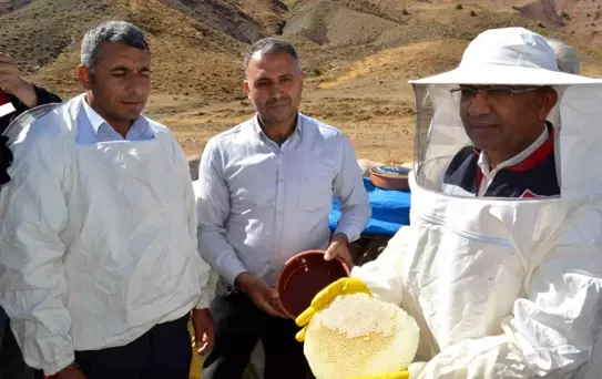 Pervari'de Organik Bal Hasadı Yapıldı
