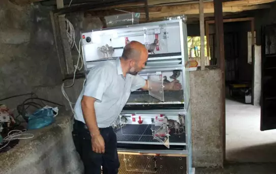 Uludere'de Engelli Aileye Tavuk Çiftliği Desteği
