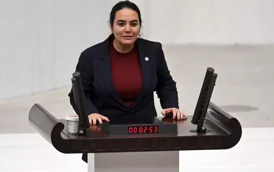 İYİ Partili Türkeş, Kurtulmuş'un Kürtçe konuşmasına tahammül edemedi! Yaptığı çağrı skandal
