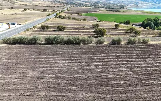 Hava Arslan'dan Tunceli'de Seracılık Hamlesi