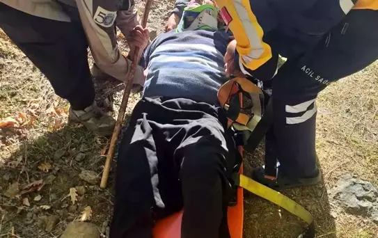 Adana'da Gazinin Kurtuluşu