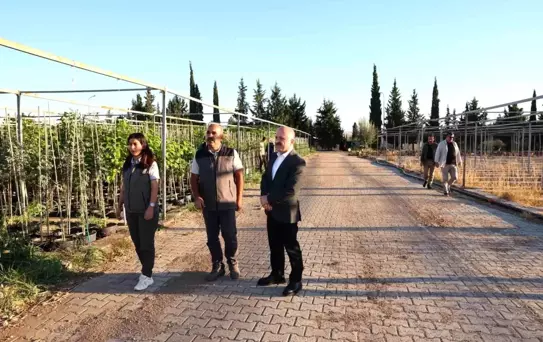 Vali Varol'dan Fidanlık Ziyareti