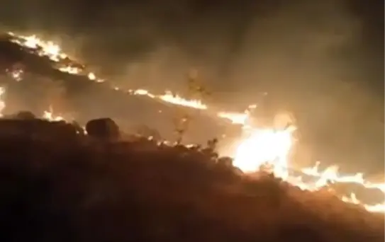 Konya'da Meralık Alanda Yangın
