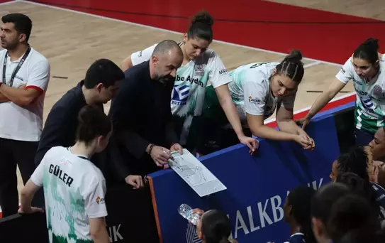 Nesibe Aydın, Çanakkale'yi Geçti