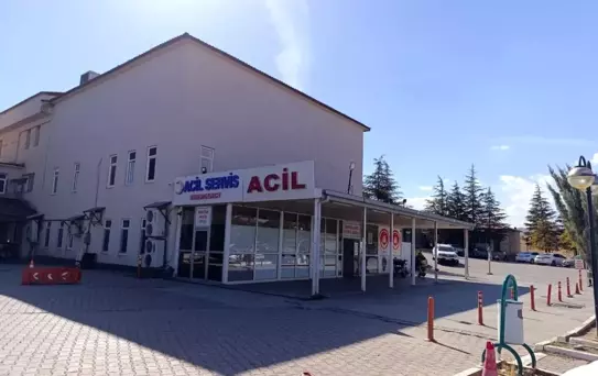Afşin'de Arı Sokması Nedeniyle 9 Yaşındaki Kız Hayatını Kaybetti