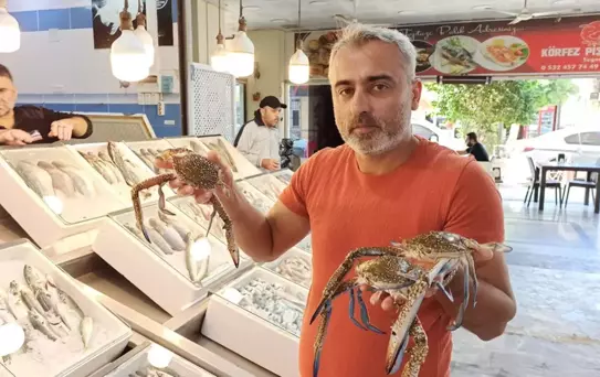 İskenderun'da Jumbo Karides Fiyatları Düşüyor