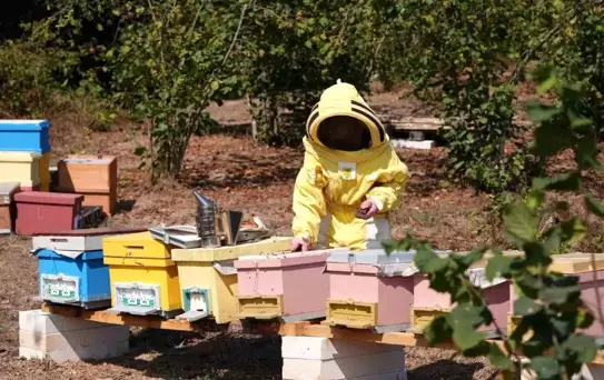Düzce Üniversitesi Mezunları FAO'nun Gıda Kahramanı