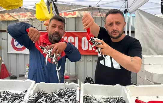 Zonguldak'ta Hamsi Fiyatı 70 TL'ye Düştü