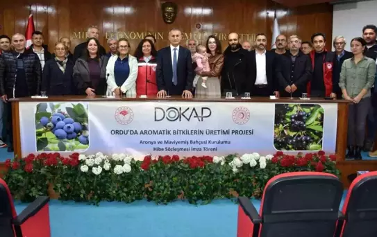 Ordu'da Aromatik Bitki Üretimi Artıyor