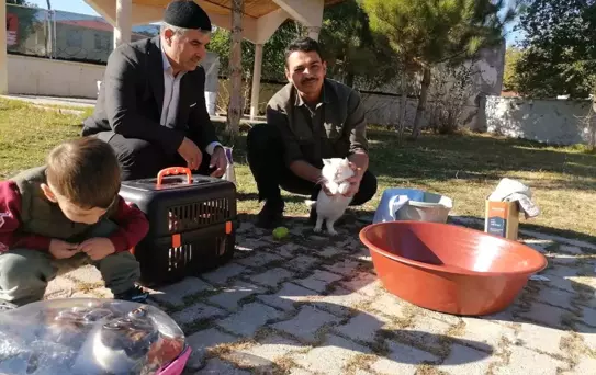 İmam Hatip'ten Kedilere Şefkat