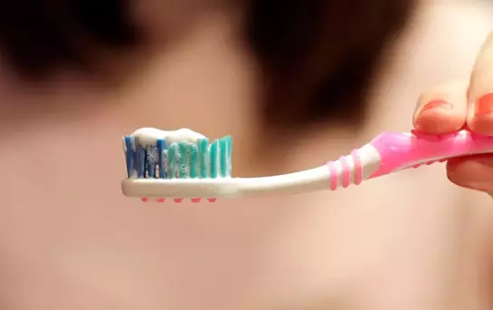 Diş Fırçaları: Mikroplarla Dolu Bir Ekosistem