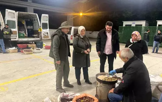 Düzce Kestanesinin Hasadı ve Önemi