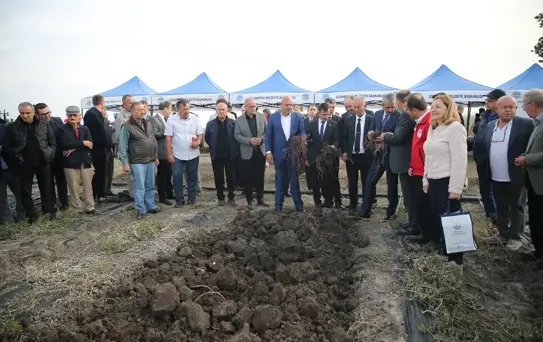Edirne Kırmızısı'nın Hasadı Yapıldı
