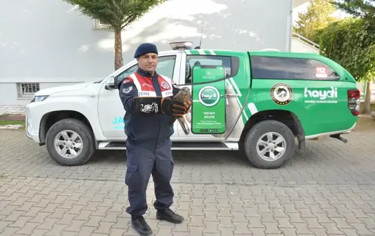 Yaralı Kızıl Şahin Koruma Altına Alındı