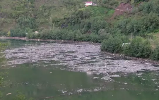 Artvin'de Sel, Barajı Tehdit Ediyor