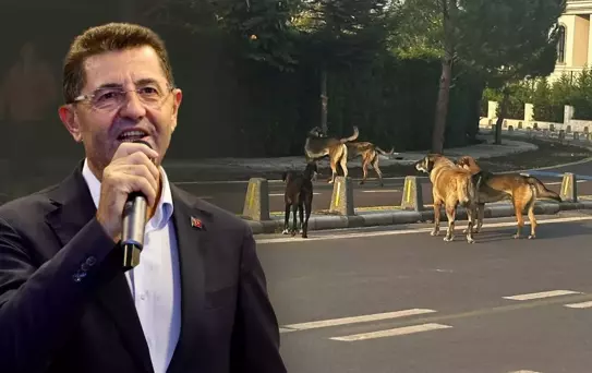 Çekmeköy Belediyesi'nin duyarsızlığı ilçe halkını isyan ettirdi