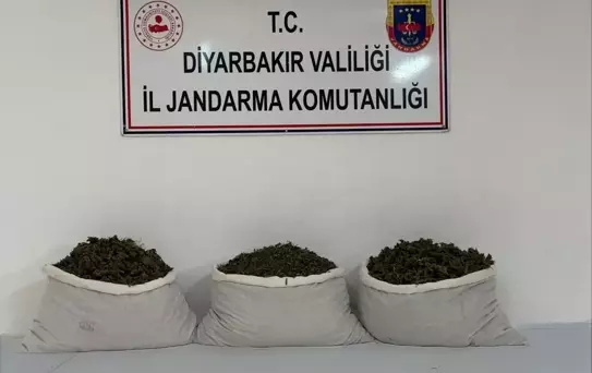 Diyarbakır'da Uyuşturucu Operasyonu