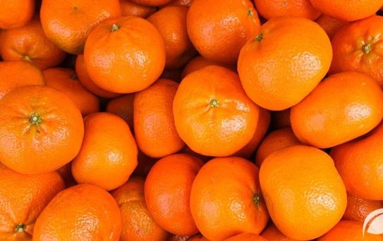 Herkes aynı soruyu soruyor: Turuncu mandalinalara ne oldu?