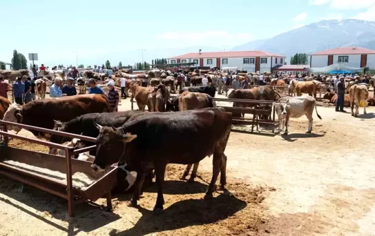 Refahiye'de Hayvan Satışı Yasaklandı