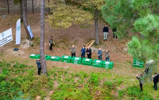 Ünye'de 200 Sülün Doğaya Bırakıldı