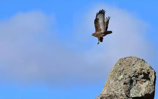 Keklik Vadisi'nin Sonbahar Güzelliği