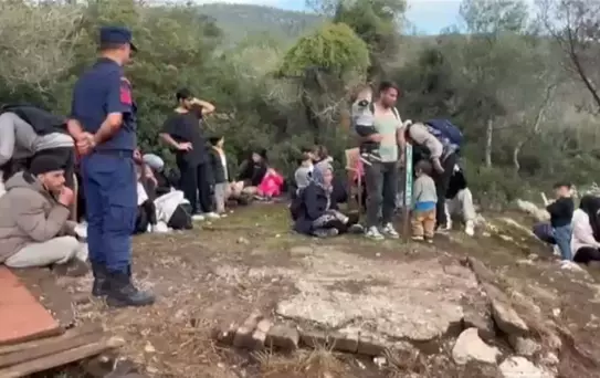 Milas'ta 74 Kaçak Göçmen Yakalandı