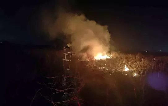 Susurluk'ta Arazi Yangını Kısa Sürede Söndürüldü