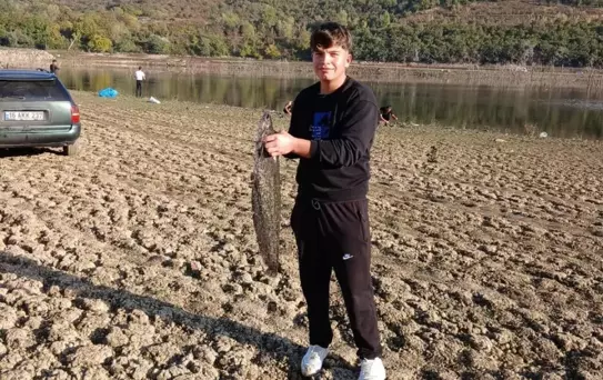 Bursa'da Su Seviyesi Düşünce Dev Yayın Balıkları Avlanıyor