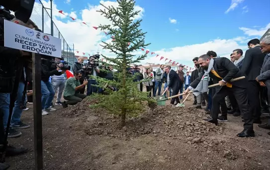 AK Parti Genel Başkan Yardımcısı Acar, Filistinli gazeteciler için fidan dikim töreninde konuştu Açıklaması