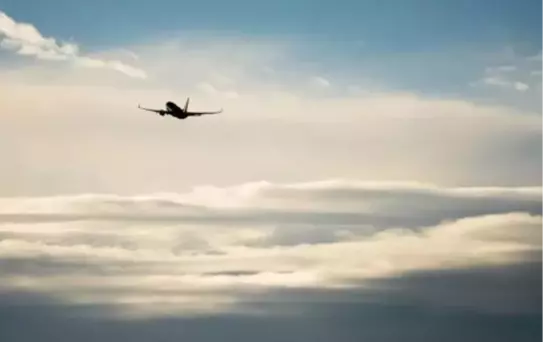 Kenya'da Özel Uçak Düştü: 12 Ölü