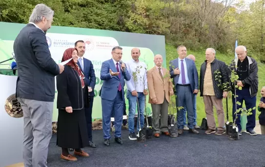 Trabzon'da Yerel Meyve Fidanı Dağıtımı