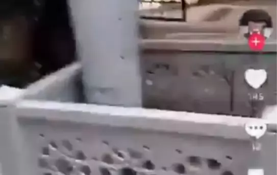 Kadir Mısıroğlu'nun mezarının başında İzmir Marşı çaldı