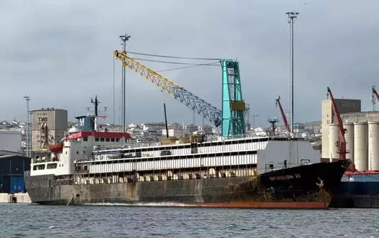 Bandırma'da İthal Hayvan Krizi